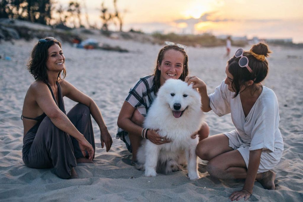 Three friends with a white dog on the beach